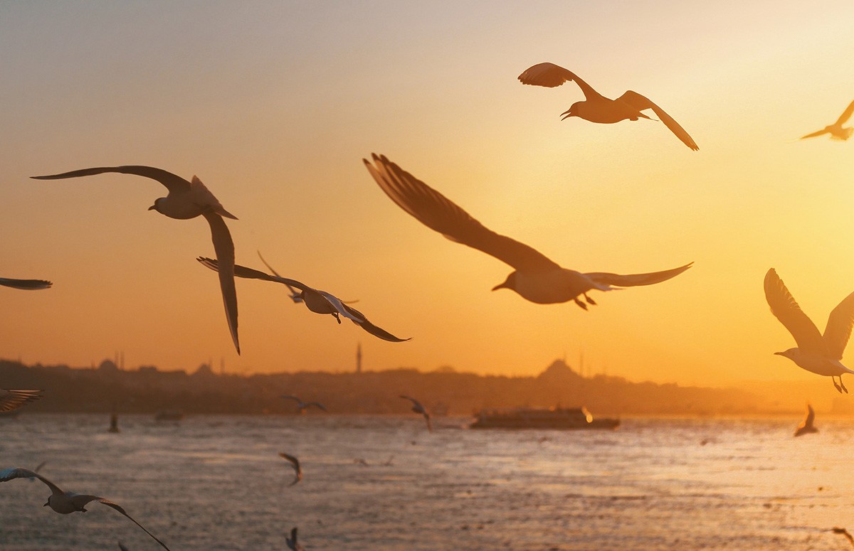 Sonnenuntergang in Istanbul