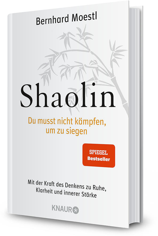 Shaolin - Du musst nicht kämpfen um zu siegen